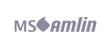 MS Amlin