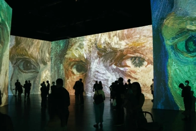 Seguro de Arte Seguro de Arte